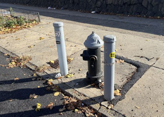 Image of a fire hydrant and two fender poles on a sidewalk