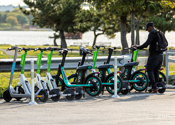 Image of electric scooters parked together in a painted space with flexible delineators and pavement markings delineating the area they should be parked.