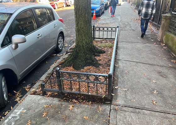Image of a tree bed with a low fence